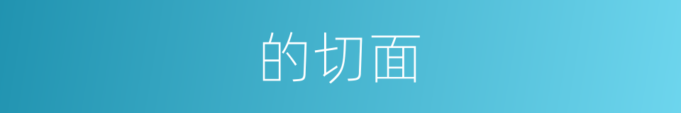 的切面的同义词