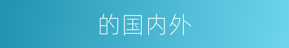 的国内外的同义词