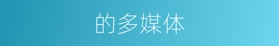 的多媒体的同义词