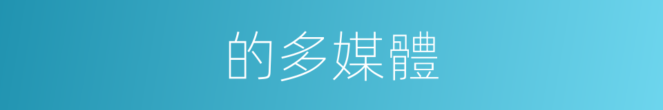 的多媒體的同義詞