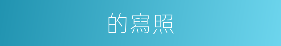 的寫照的意思