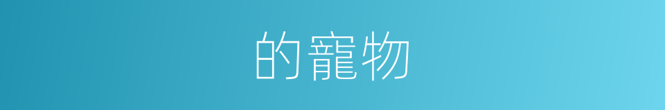 的寵物的同義詞