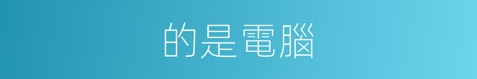 的是電腦的同義詞