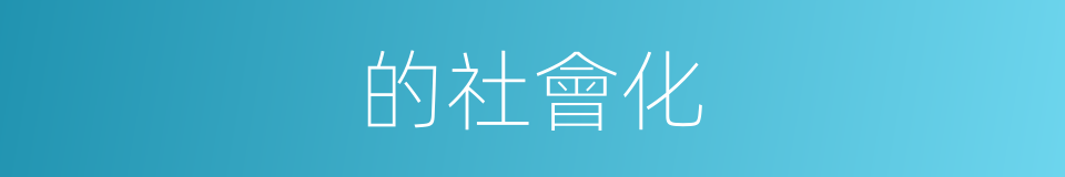 的社會化的意思