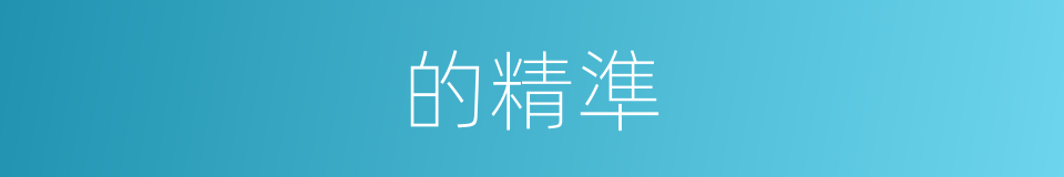 的精準的同義詞