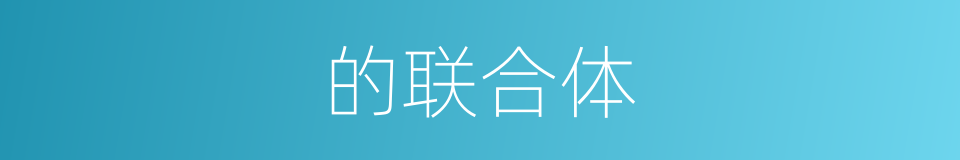 的联合体的同义词