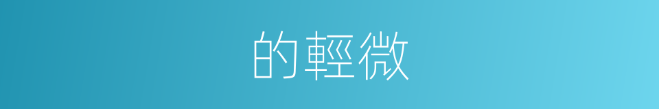 的輕微的同義詞