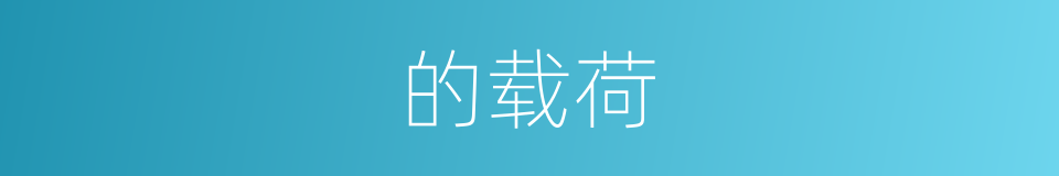 的载荷的同义词