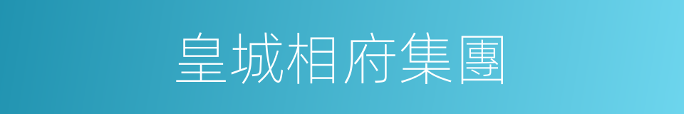 皇城相府集團的同義詞