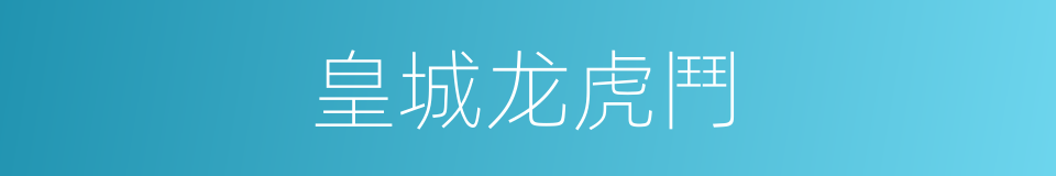 皇城龙虎鬥的同義詞