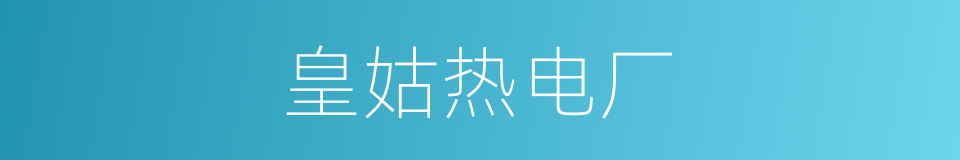 皇姑热电厂的同义词