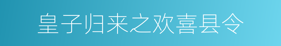 皇子归来之欢喜县令的同义词