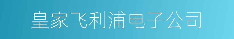 皇家飞利浦电子公司的同义词