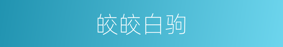 皎皎白驹的同义词