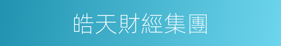 皓天財經集團的同義詞