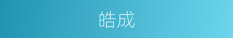 皓成的同义词