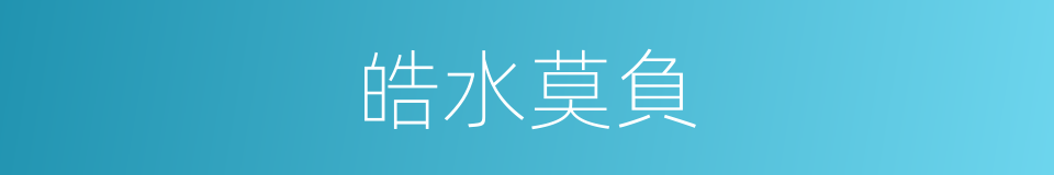 皓水莫負的同義詞