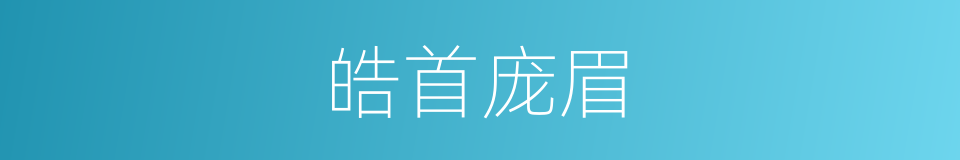 皓首庞眉的意思