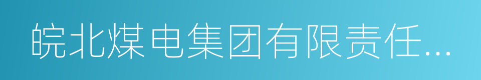 皖北煤电集团有限责任公司的同义词