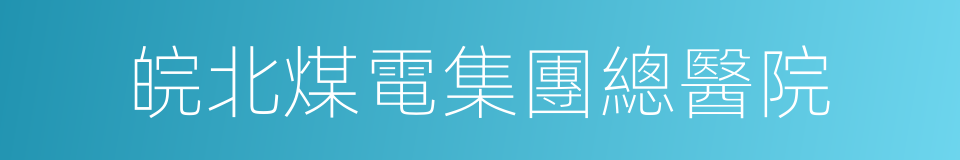 皖北煤電集團總醫院的同義詞