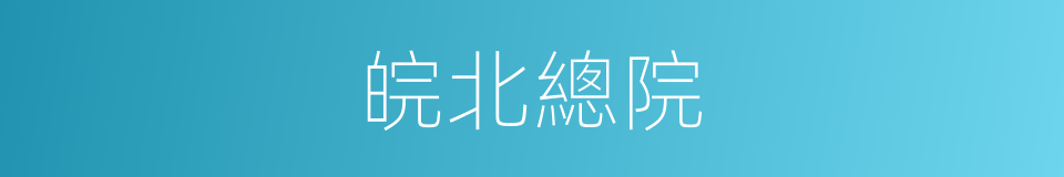 皖北總院的同義詞