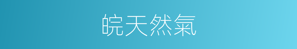 皖天然氣的同義詞