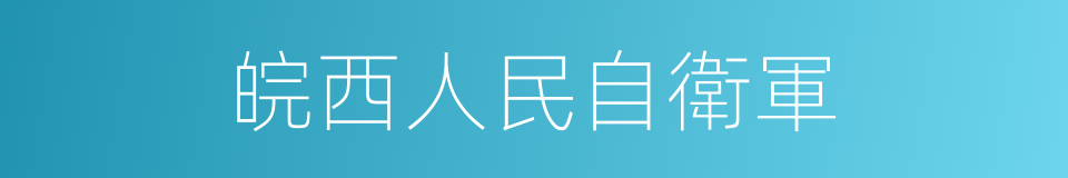 皖西人民自衛軍的同義詞