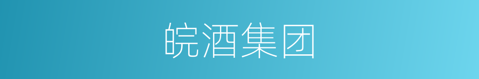 皖酒集团的同义词