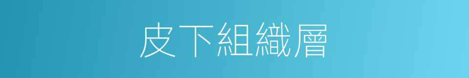 皮下組織層的同義詞