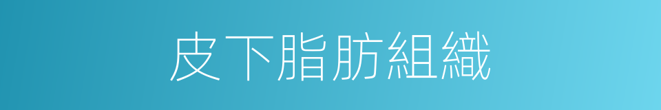 皮下脂肪組織的同義詞