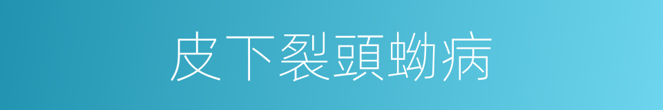 皮下裂頭蚴病的同義詞