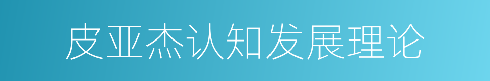 皮亚杰认知发展理论的同义词