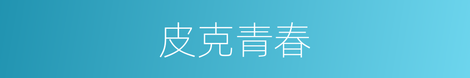皮克青春的同义词