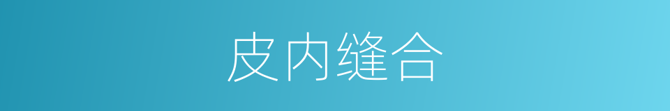 皮内缝合的同义词