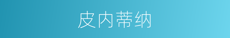 皮内蒂纳的同义词