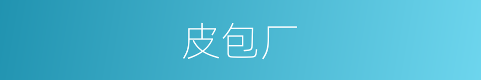 皮包厂的同义词