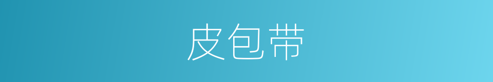 皮包带的同义词