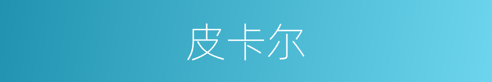 皮卡尔的同义词