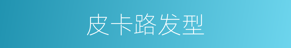 皮卡路发型的意思