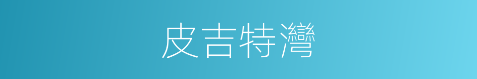 皮吉特灣的同義詞