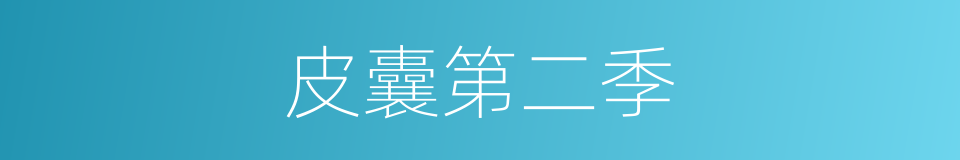 皮囊第二季的同义词