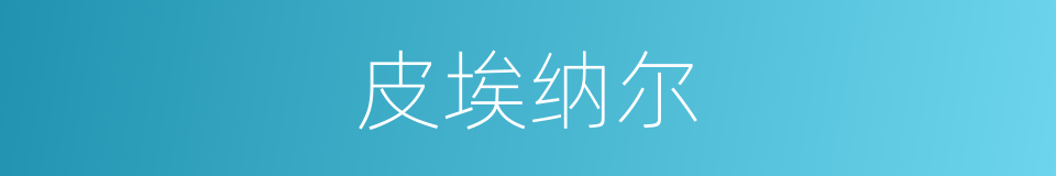 皮埃纳尔的同义词