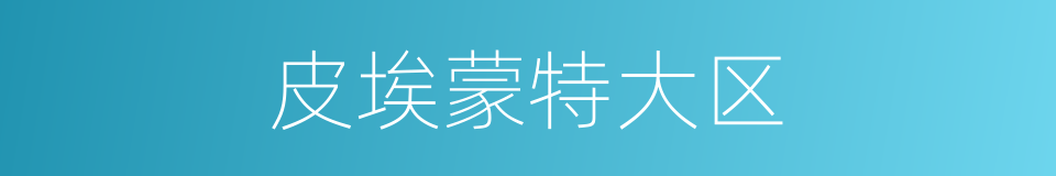 皮埃蒙特大区的同义词