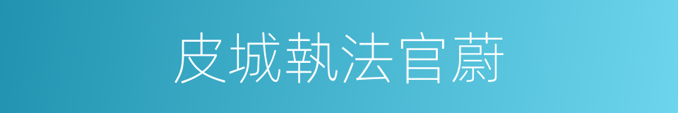 皮城執法官蔚的同義詞
