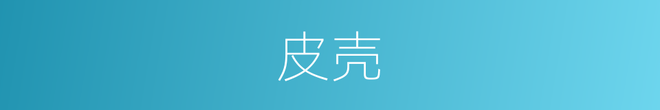 皮壳的意思