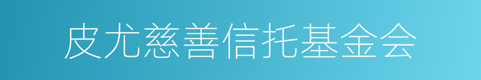 皮尤慈善信托基金会的同义词