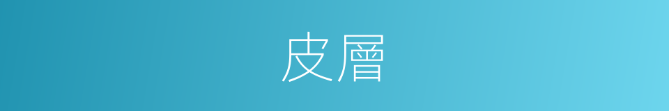 皮層的意思