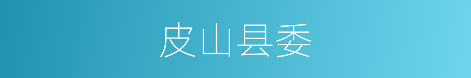 皮山县委的同义词