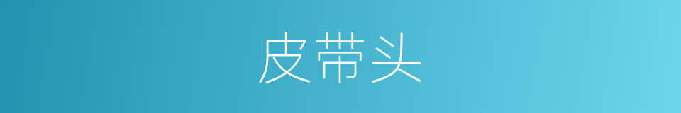 皮带头的同义词