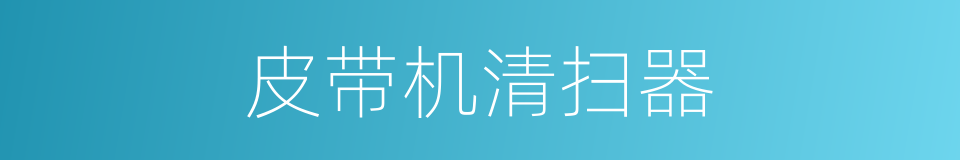 皮带机清扫器的同义词